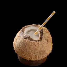 Coconut Liquer