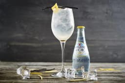 Old Tonic SanPelegino
